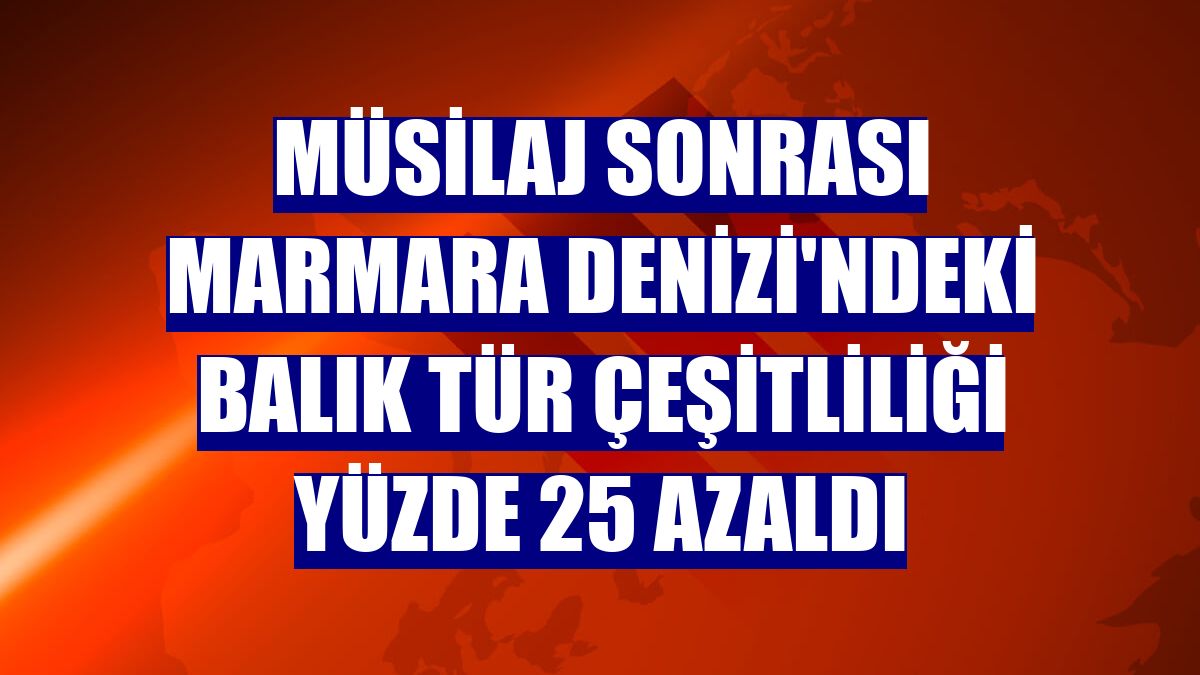 Müsilaj sonrası Marmara Denizi'ndeki balık tür çeşitliliği yüzde 25 azaldı