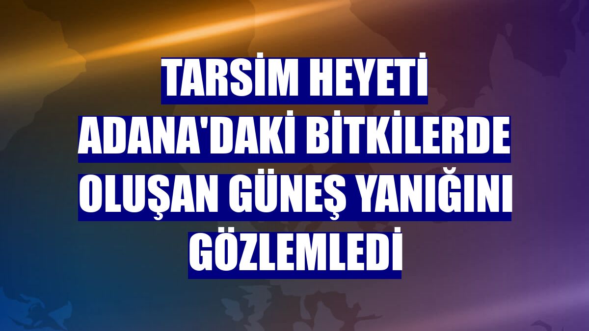 TARSİM heyeti Adana'daki bitkilerde oluşan güneş yanığını gözlemledi