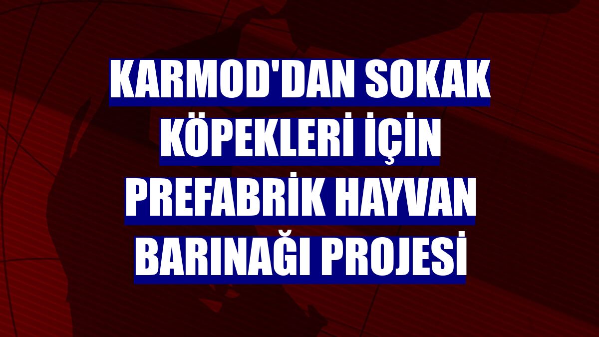 Karmod'dan sokak köpekleri için prefabrik hayvan barınağı projesi