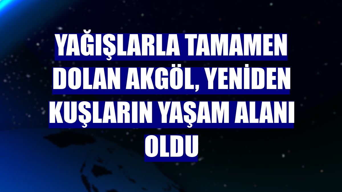 Yağışlarla tamamen dolan Akgöl, yeniden kuşların yaşam alanı oldu