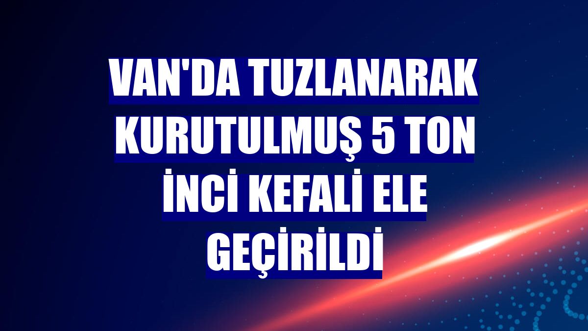 Van'da tuzlanarak kurutulmuş 5 ton inci kefali ele geçirildi