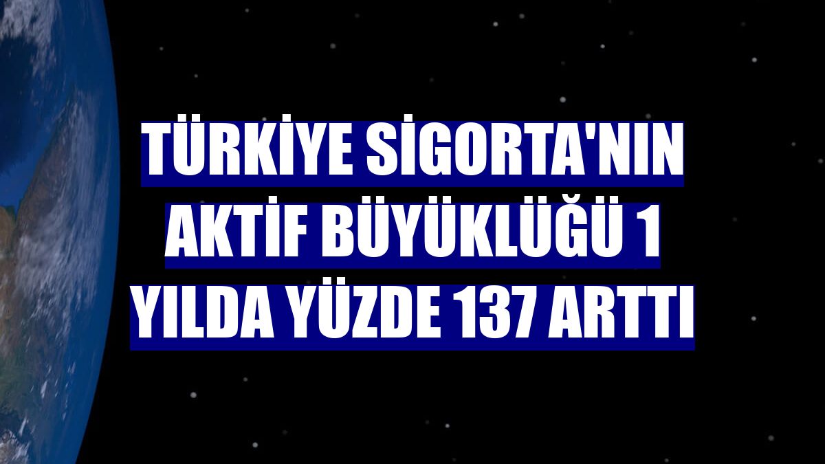 Türkiye Sigorta'nın aktif büyüklüğü 1 yılda yüzde 137 arttı