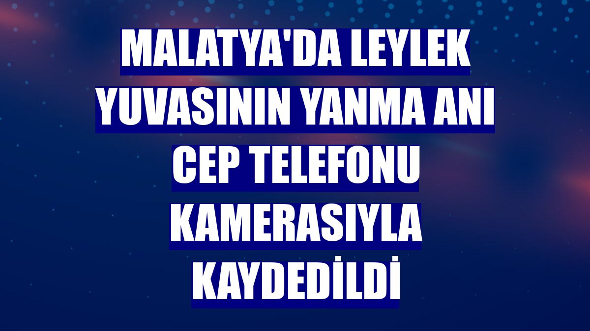 Malatya'da leylek yuvasının yanma anı cep telefonu kamerasıyla kaydedildi