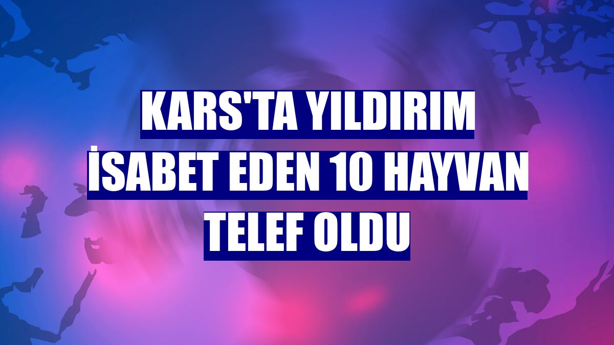 Kars'ta yıldırım isabet eden 10 hayvan telef oldu