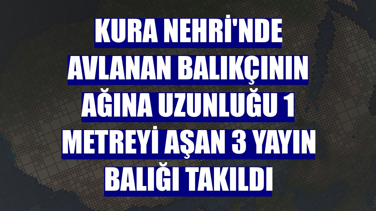 Kura Nehri'nde avlanan balıkçının ağına uzunluğu 1 metreyi aşan 3 yayın balığı takıldı