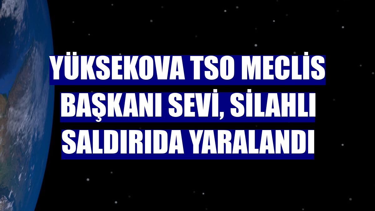 Yüksekova TSO Meclis Başkanı Sevi, silahlı saldırıda yaralandı