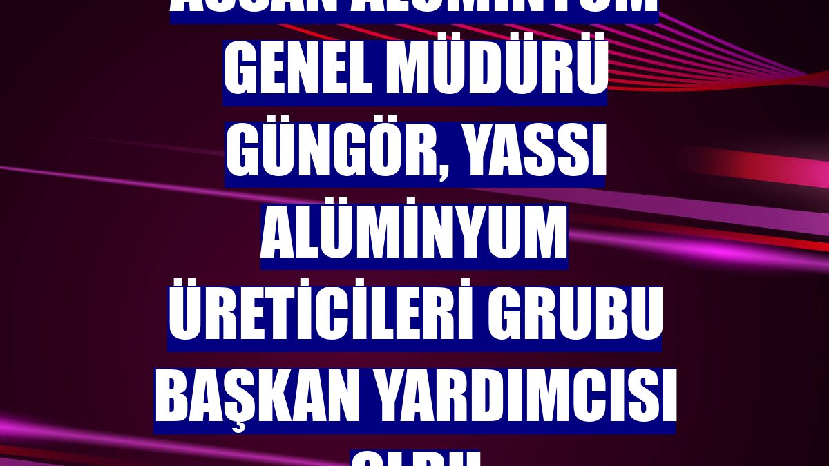 Assan Alüminyum Genel Müdürü Güngör, Yassı Alüminyum Üreticileri Grubu başkan yardımcısı oldu