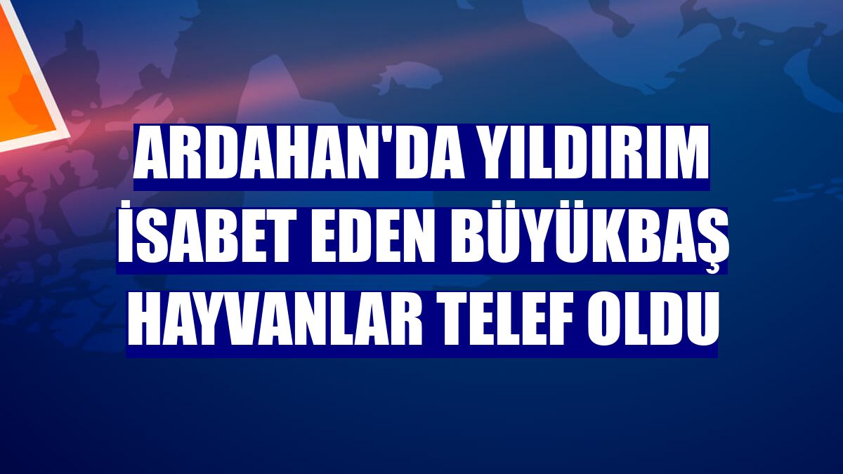 Ardahan'da yıldırım isabet eden büyükbaş hayvanlar telef oldu
