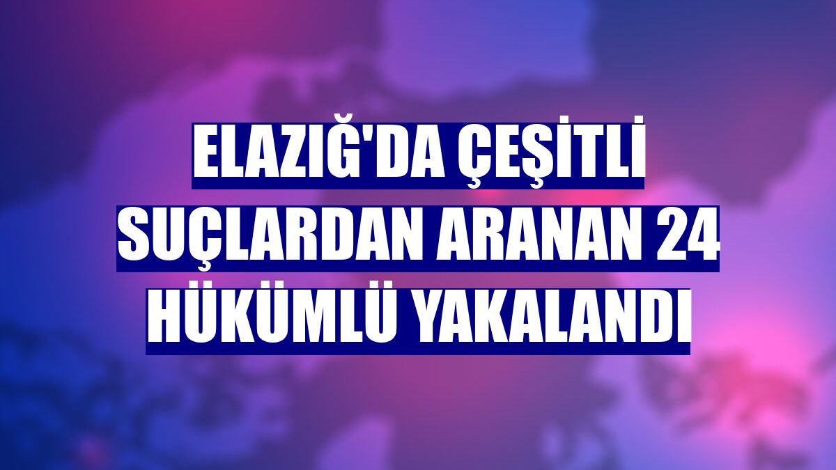 Elazığ'da çeşitli suçlardan aranan 24 hükümlü yakalandı