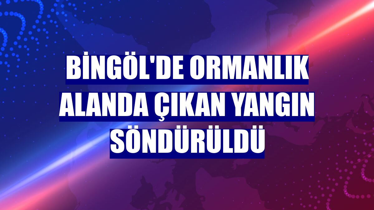 Bingöl'de ormanlık alanda çıkan yangın söndürüldü