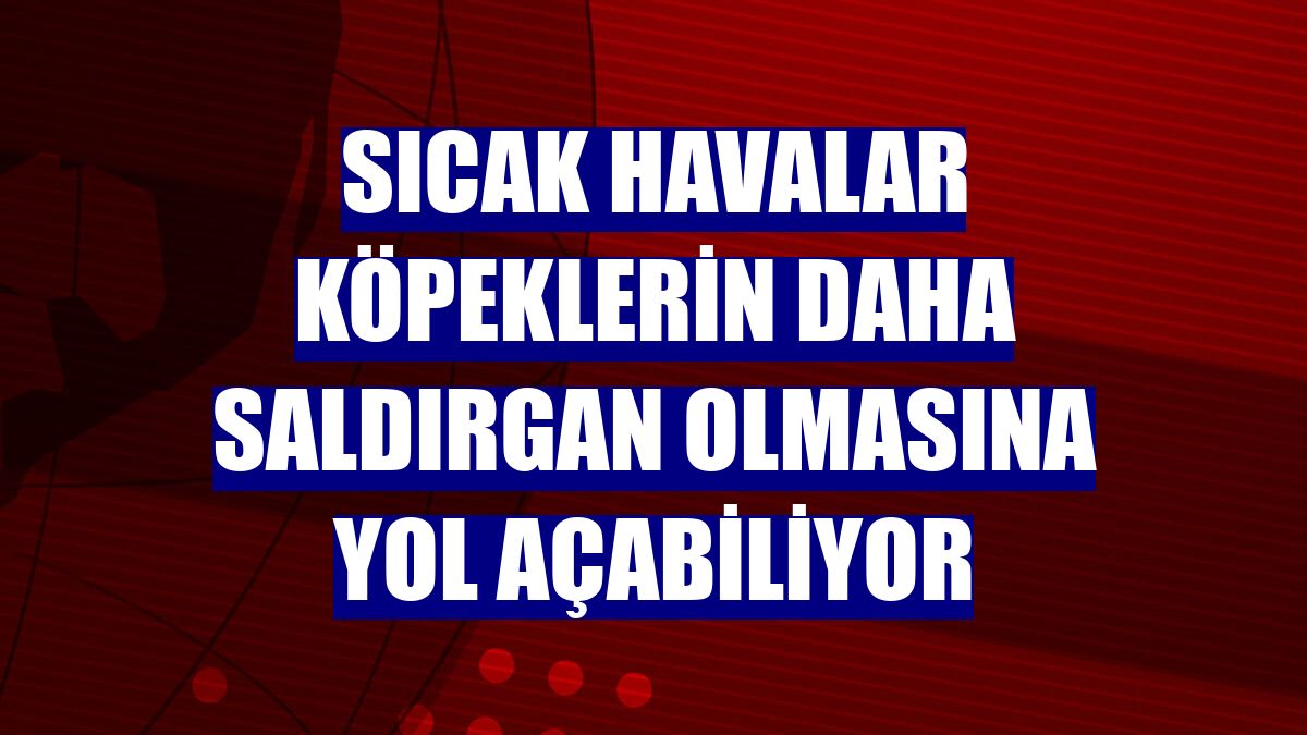 Sıcak havalar köpeklerin daha saldırgan olmasına yol açabiliyor