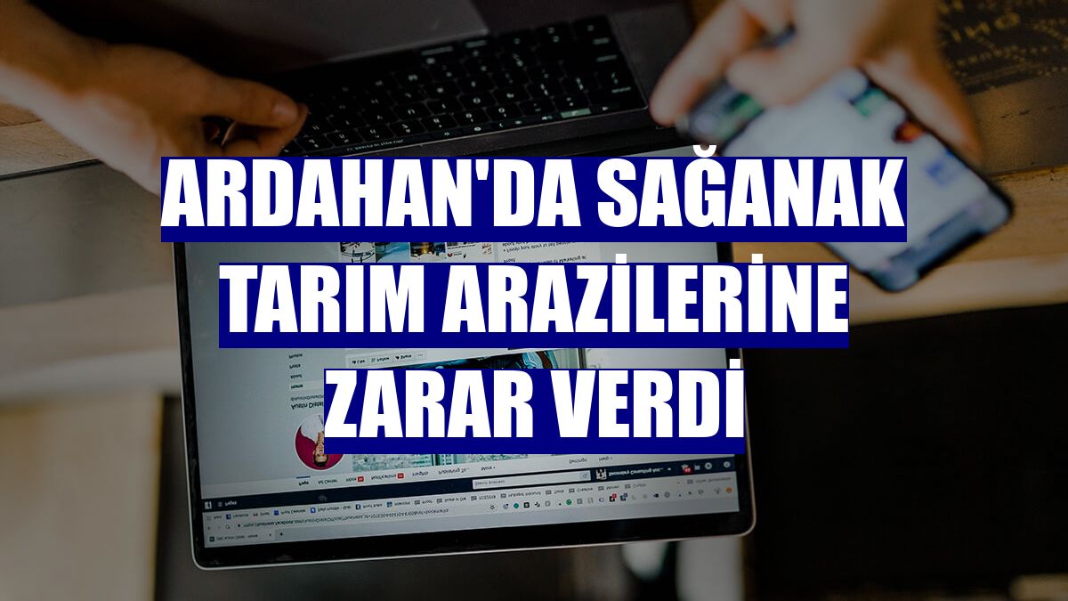Ardahan'da sağanak tarım arazilerine zarar verdi