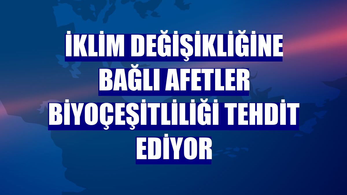 İklim değişikliğine bağlı afetler biyoçeşitliliği tehdit ediyor