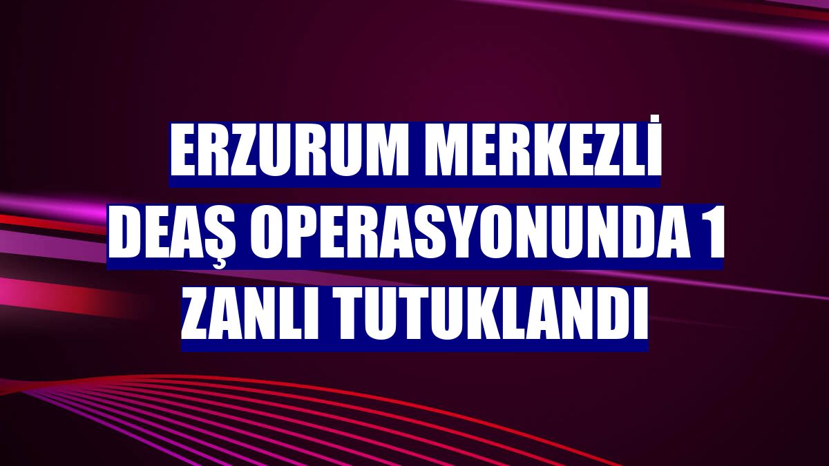 Erzurum merkezli DEAŞ operasyonunda 1 zanlı tutuklandı