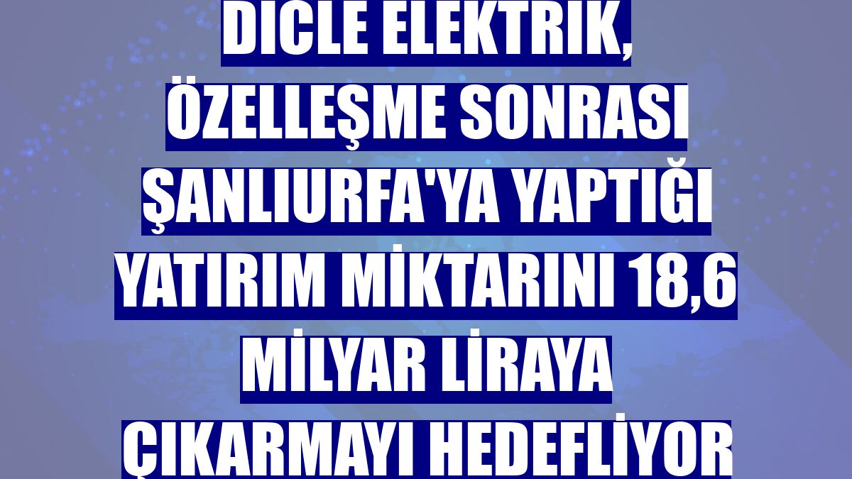 Dicle Elektrik, özelleşme sonrası Şanlıurfa'ya yaptığı yatırım miktarını 18,6 milyar liraya çıkarmayı hedefliyor