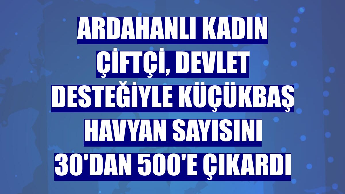Ardahanlı kadın çiftçi, devlet desteğiyle küçükbaş havyan sayısını 30'dan 500'e çıkardı