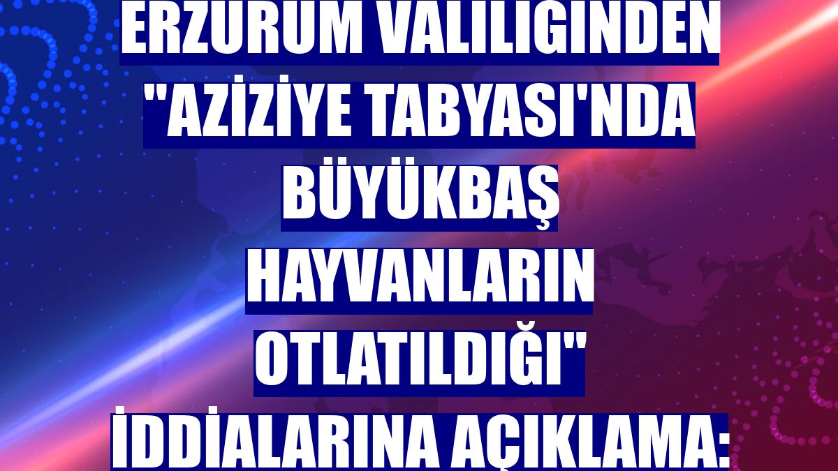 Erzurum Valiliğinden "Aziziye Tabyası'nda büyükbaş hayvanların otlatıldığı" iddialarına açıklama:
