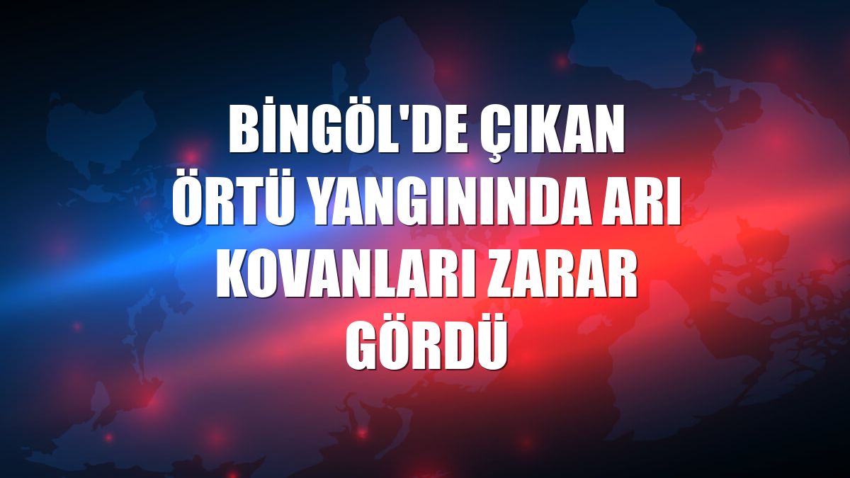 Bingöl'de çıkan örtü yangınında arı kovanları zarar gördü