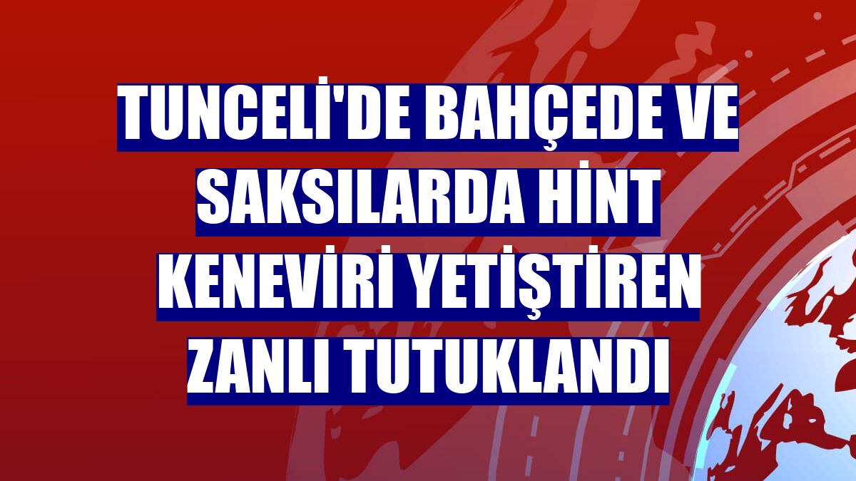 Tunceli'de bahçede ve saksılarda Hint keneviri yetiştiren zanlı tutuklandı