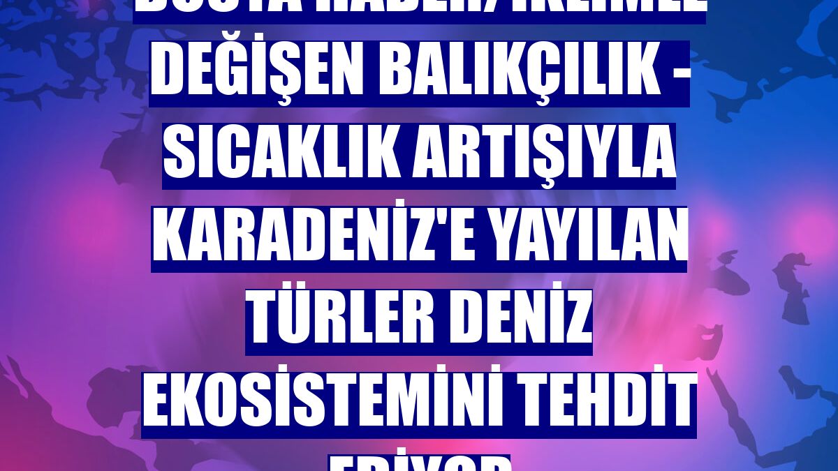 DOSYA HABER/İKLİMLE DEĞİŞEN BALIKÇILIK - Sıcaklık artışıyla Karadeniz'e yayılan türler deniz ekosistemini tehdit ediyor