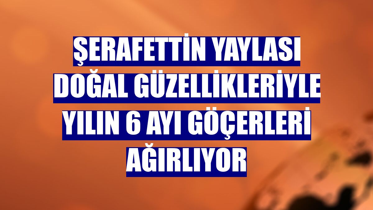 Şerafettin Yaylası doğal güzellikleriyle yılın 6 ayı göçerleri ağırlıyor