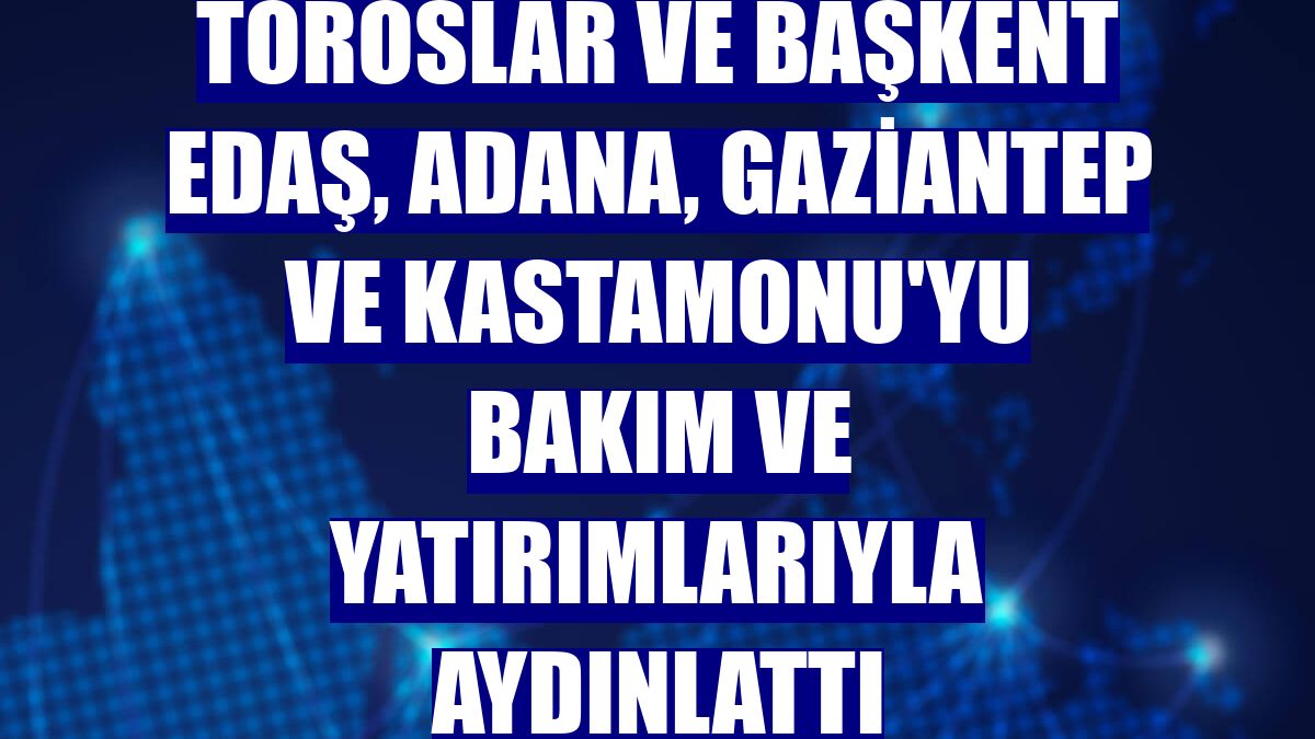 Toroslar ve Başkent EDAŞ, Adana, Gaziantep ve Kastamonu'yu bakım ve yatırımlarıyla aydınlattı