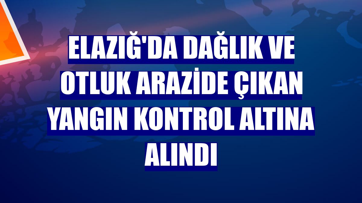 Elazığ'da dağlık ve otluk arazide çıkan yangın kontrol altına alındı