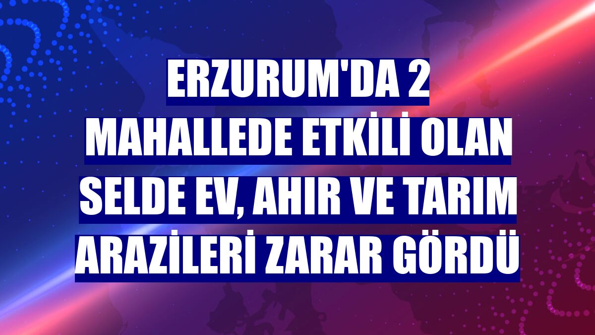 Erzurum'da 2 mahallede etkili olan selde ev, ahır ve tarım arazileri zarar gördü
