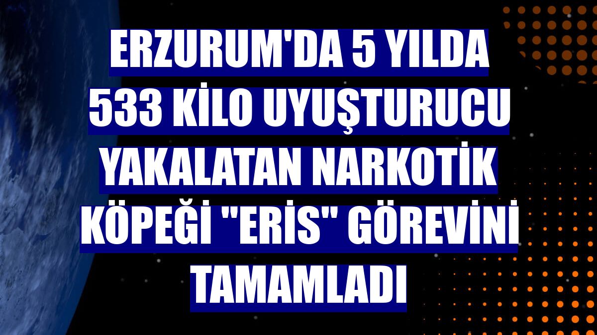 Erzurum'da 5 yılda 533 kilo uyuşturucu yakalatan narkotik köpeği "Eris" görevini tamamladı
