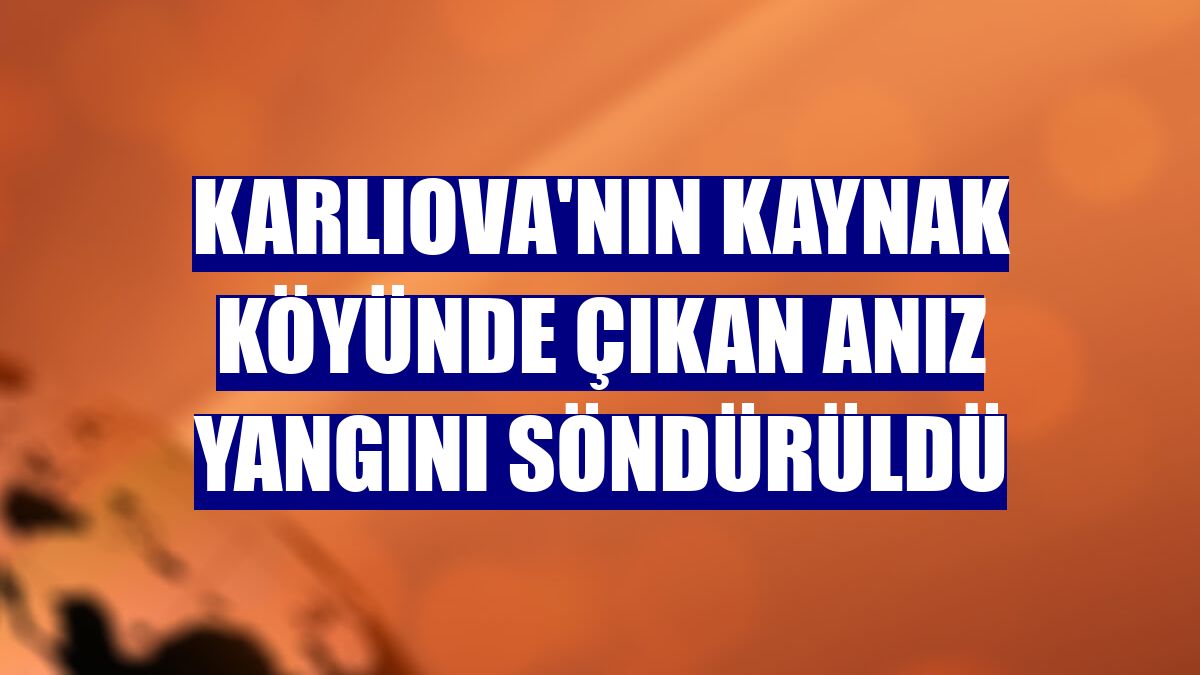 Karlıova'nın Kaynak köyünde çıkan anız yangını söndürüldü