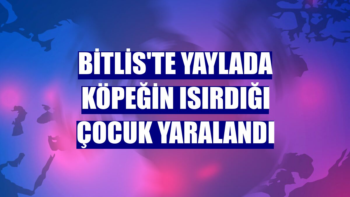Bitlis'te yaylada köpeğin ısırdığı çocuk yaralandı