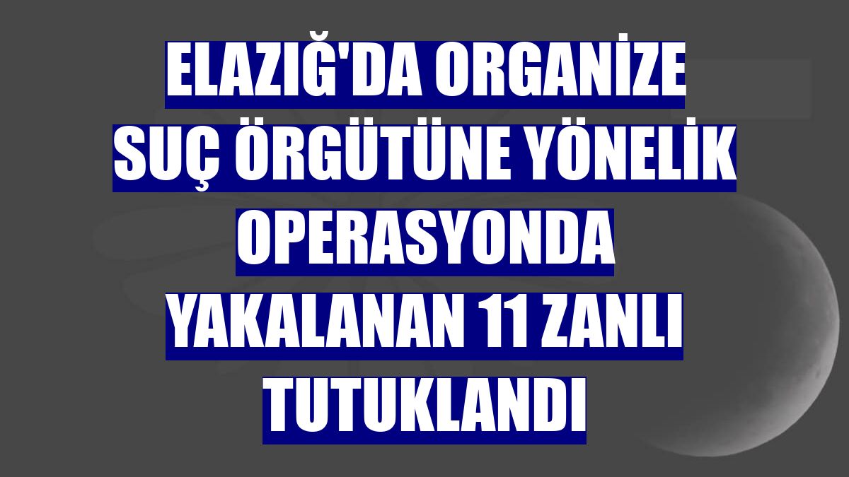 Elazığ'da organize suç örgütüne yönelik operasyonda yakalanan 11 zanlı tutuklandı