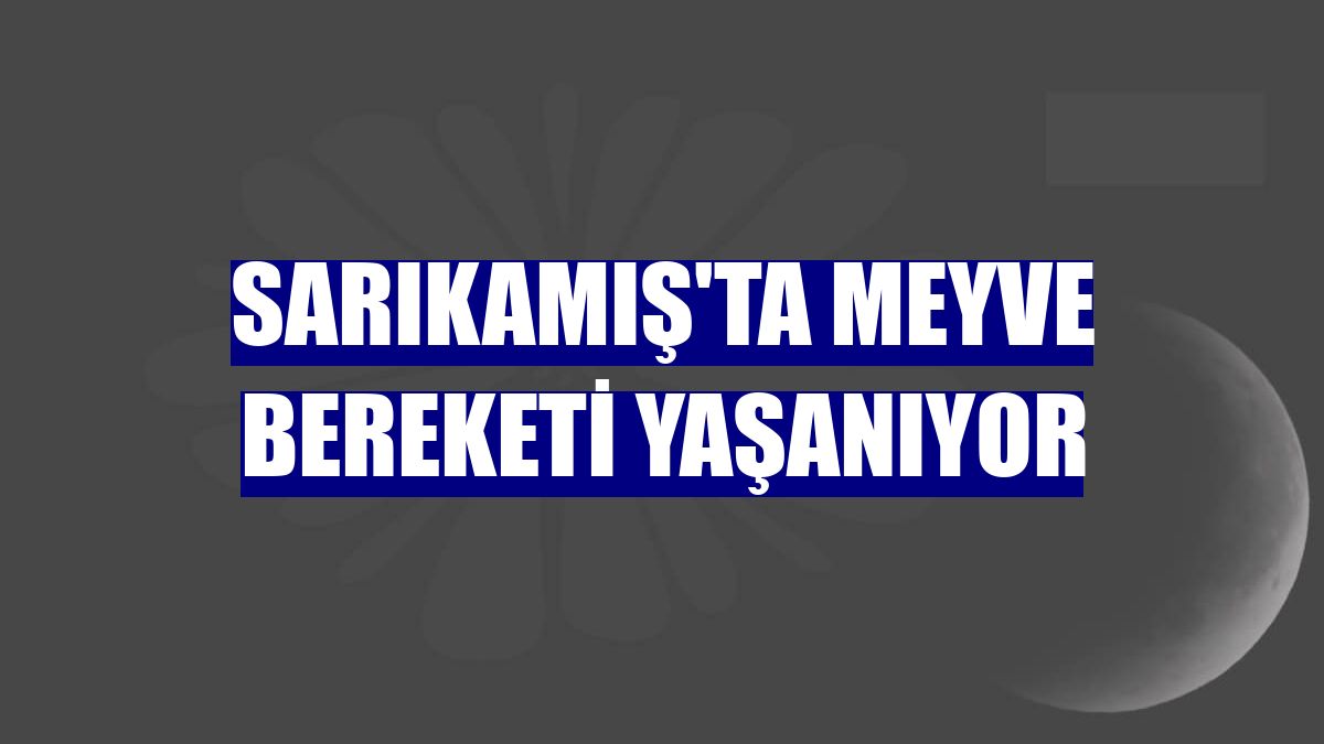 Sarıkamış'ta meyve bereketi yaşanıyor