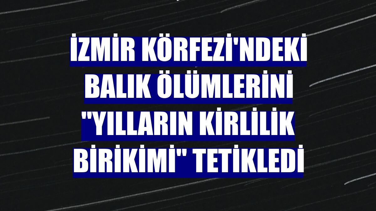 İzmir Körfezi'ndeki balık ölümlerini "yılların kirlilik birikimi" tetikledi