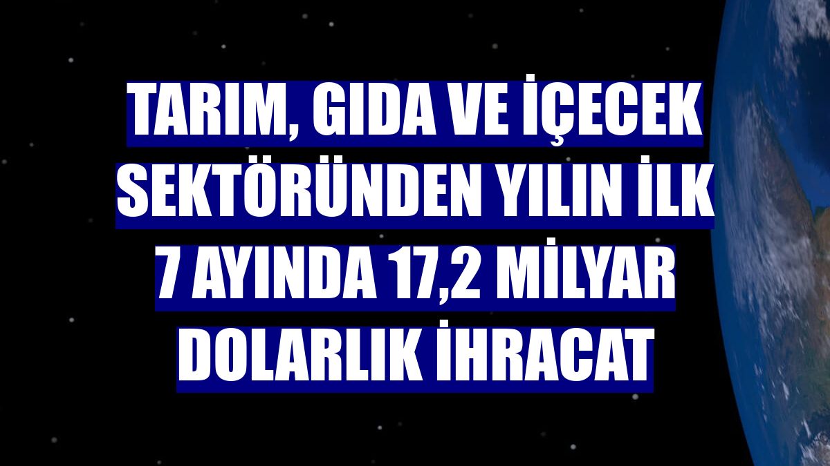 Tarım, gıda ve içecek sektöründen yılın ilk 7 ayında 17,2 milyar dolarlık ihracat