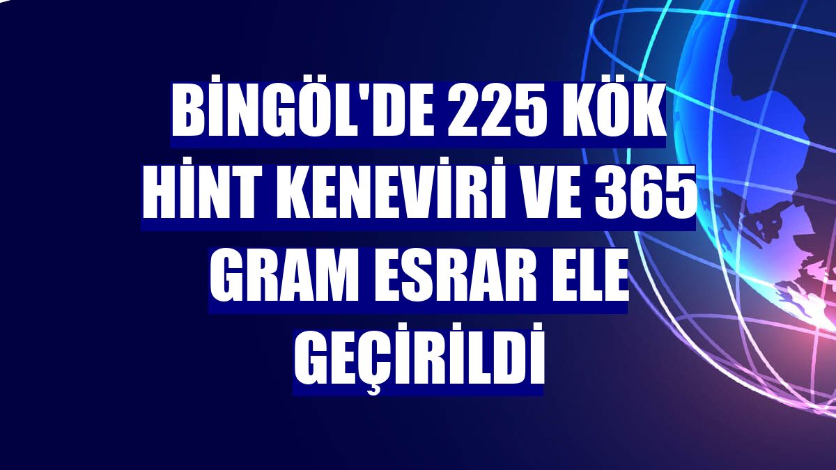 Bingöl'de 225 kök Hint keneviri ve 365 gram esrar ele geçirildi