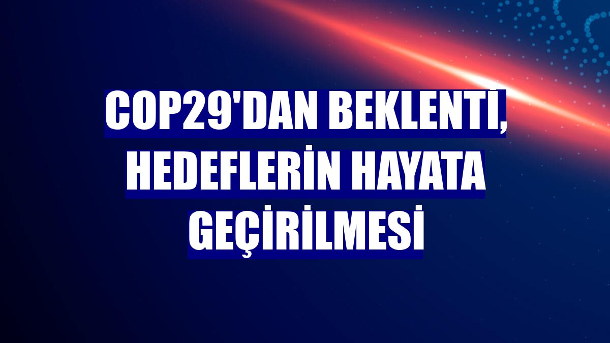 COP29'dan beklenti, hedeflerin hayata geçirilmesi