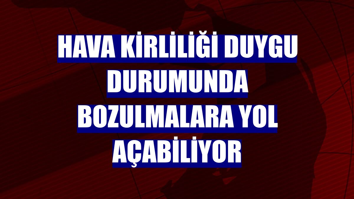 Hava kirliliği duygu durumunda bozulmalara yol açabiliyor