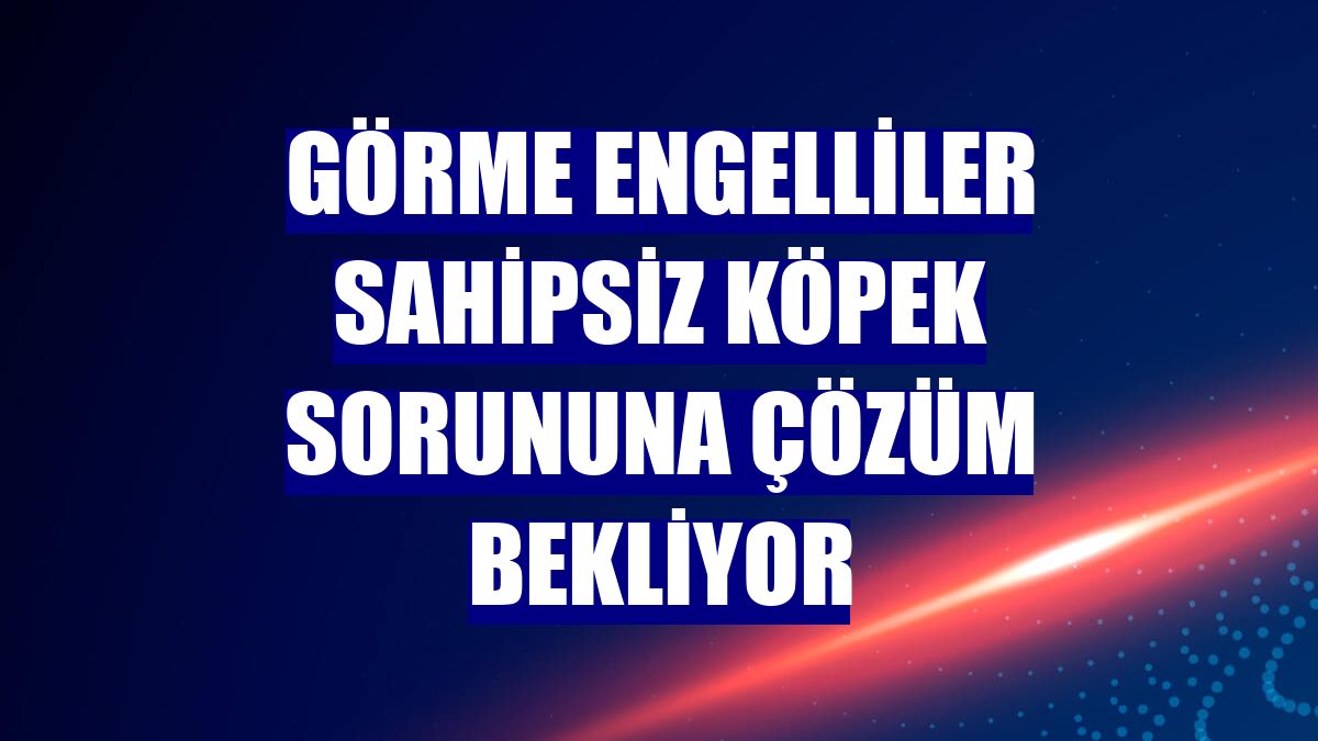 Görme engelliler sahipsiz köpek sorununa çözüm bekliyor