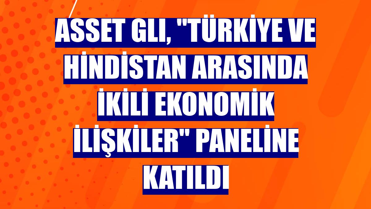 Asset GLI, "Türkiye ve Hindistan Arasında İkili Ekonomik İlişkiler" paneline katıldı
