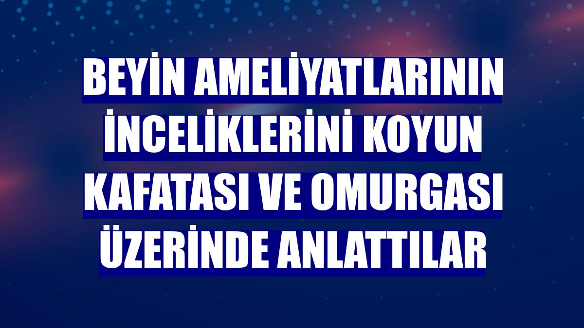 Beyin ameliyatlarının inceliklerini koyun kafatası ve omurgası üzerinde anlattılar