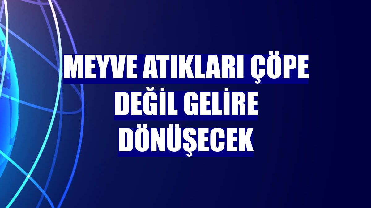 Meyve atıkları çöpe değil gelire dönüşecek