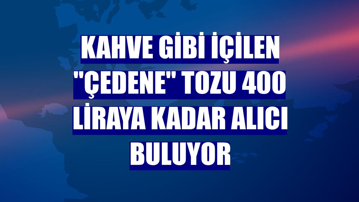 Kahve gibi içilen "çedene" tozu 400 liraya kadar alıcı buluyor