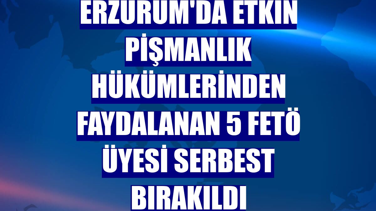 Erzurum'da etkin pişmanlık hükümlerinden faydalanan 5 FETÖ üyesi serbest bırakıldı