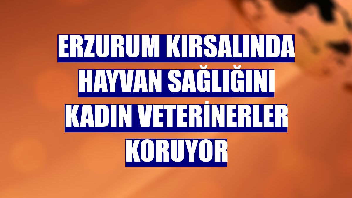 Erzurum kırsalında hayvan sağlığını kadın veterinerler koruyor