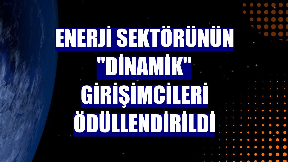 Enerji sektörünün "dinamik" girişimcileri ödüllendirildi