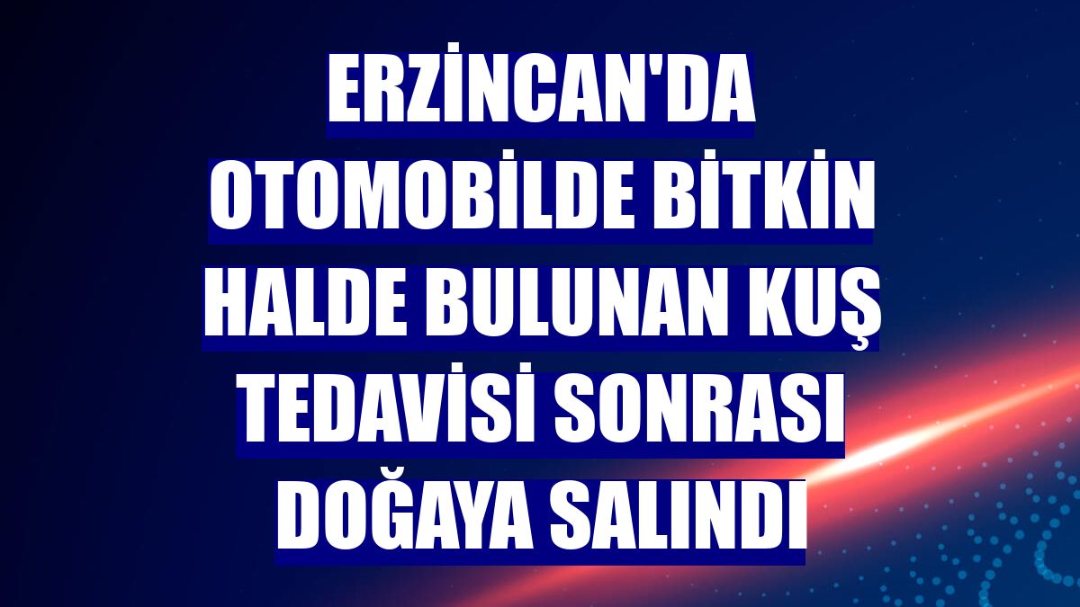 Erzincan'da otomobilde bitkin halde bulunan kuş tedavisi sonrası doğaya salındı