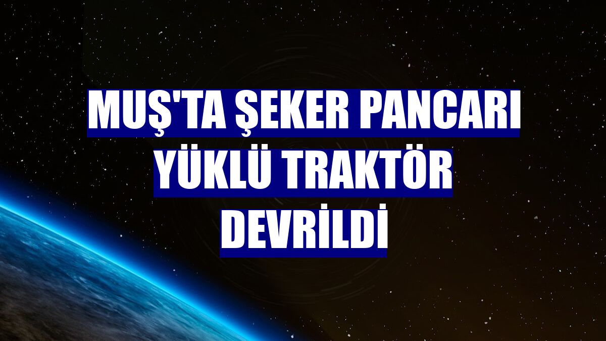 Muş'ta şeker pancarı yüklü traktör devrildi