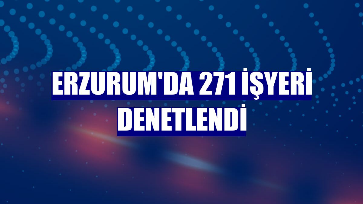 Erzurum'da 271 işyeri denetlendi