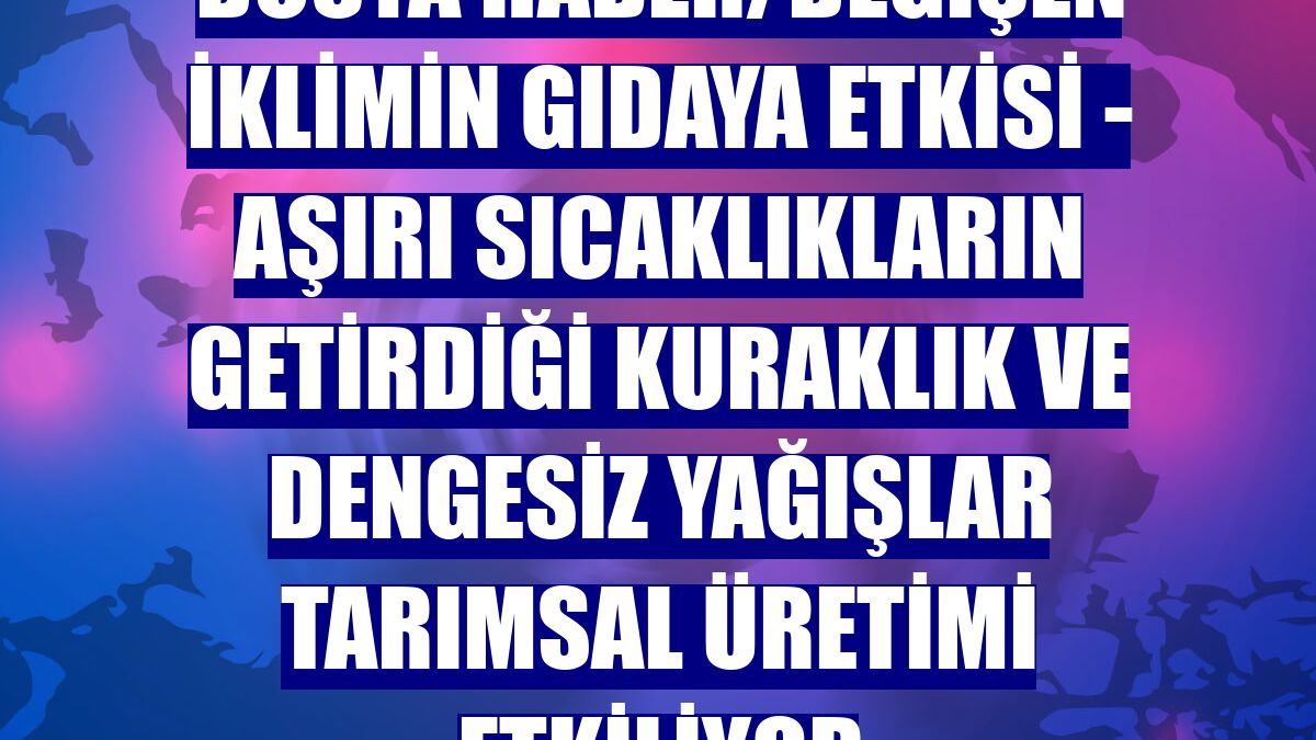 DOSYA HABER/DEĞİŞEN İKLİMİN GIDAYA ETKİSİ - Aşırı sıcaklıkların getirdiği kuraklık ve dengesiz yağışlar tarımsal üretimi etkiliyor